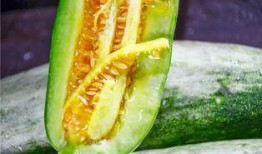 什么地方可以吃网红的瓜,这些地方让你一网打尽热门八卦